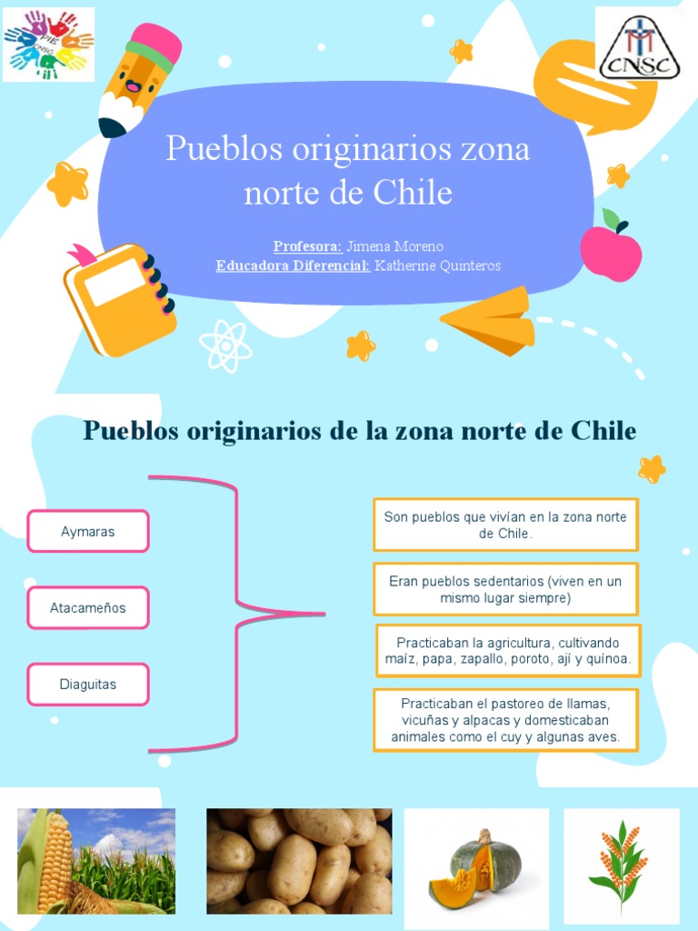 Pueblos Originarios Zona Norte de Chile | PDF | Pueblos Indígenas de ...