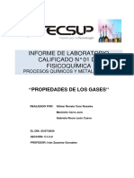 Lab 01 - Fisicoquímica-3