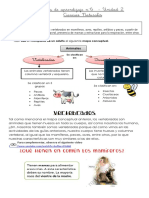 Segundos Guía N°6 CIENCIAS