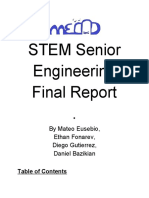 Final Report Stem