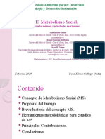 Metabolismo Social - Rosa Elena Gallego 