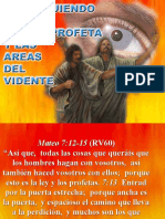 distinguiendo-al-pseudo-profeta-y-las-areas-del-videntel