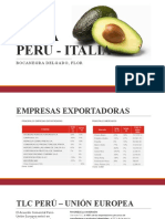 Palta Perú - Italia