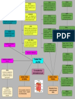 Examen Fisico Piel Mapa Mental