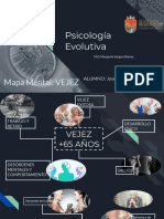 Mapa Mental Vejez