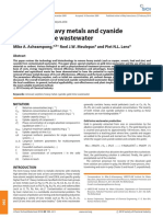 Removal of Heavy Metals and Cyanide From Gold Mine Wastewater