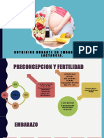 Nutricion Durante El Embarazo y La Lactancia