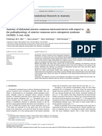 Anatomia Del Nervio Intercostal Cutaneo Anterior y Su Relacion Con El Acnes