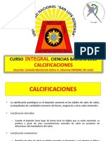 PATOLOGÍA-TEMA N_4-CALCIFICACIONES.pdf