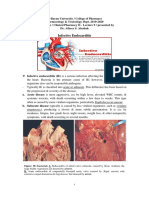 #9 IE 8.pdf