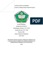 Dinda Aridha Fitri Hutabarat (191071010) - PRAKTIKUM 4 SEL TUMBUHAN UBI KAYU