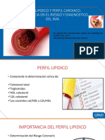 Perfil Lipidico y Perfil Cardiaco