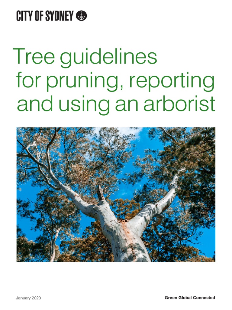 Trees Guidelines For Residents and Arborists Accessible PDF FA3 | PDF ...