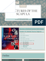 S - Fractures of The Scapula - RI