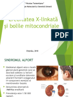ereditatea x linkata si boli  mitocondriale.pptx · versiunea 1.pptx