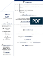 CV Arab Lotfi