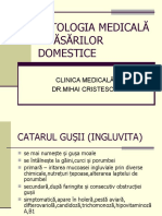 Boli Păsări Domestice HDD