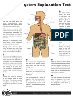 Digestive System Explanation Text and Questions