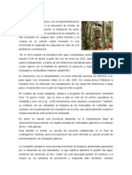 V1.docx