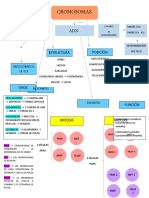 Mapa Conceptual Ingeniería Genética