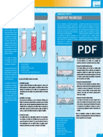 fluidised-beds_pneumatic-transport_french