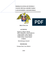 PRÁCTICA 04 - GRUPAL (MICROBIOLOGÍA GENERAL - ING. AGROIDNSUTRIAL IV CICLO - VJ) (1).pdf