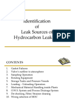 Identification of Leak Sources and Ignition Points in Hydrocarbon Plants