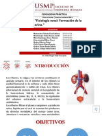 Exposición 10 - Fisiología Práctica