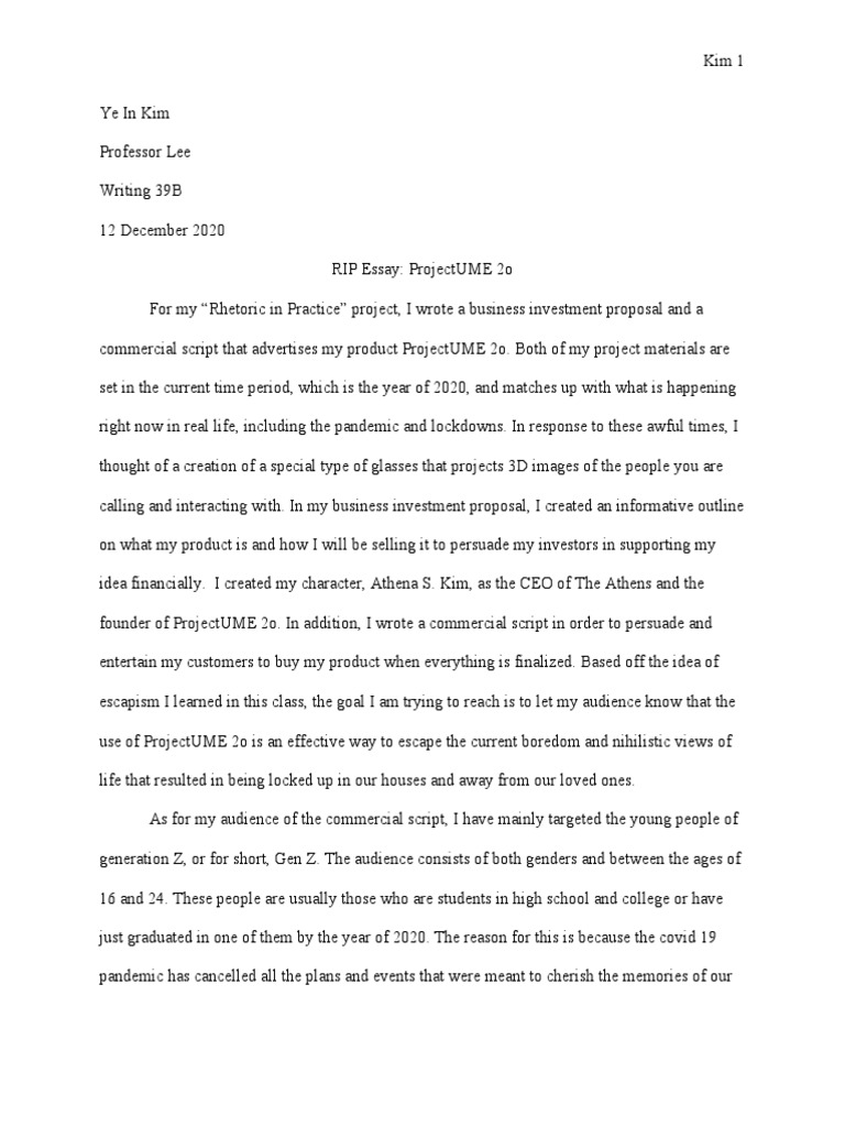 Rip Essay Final Draft PDF Investor