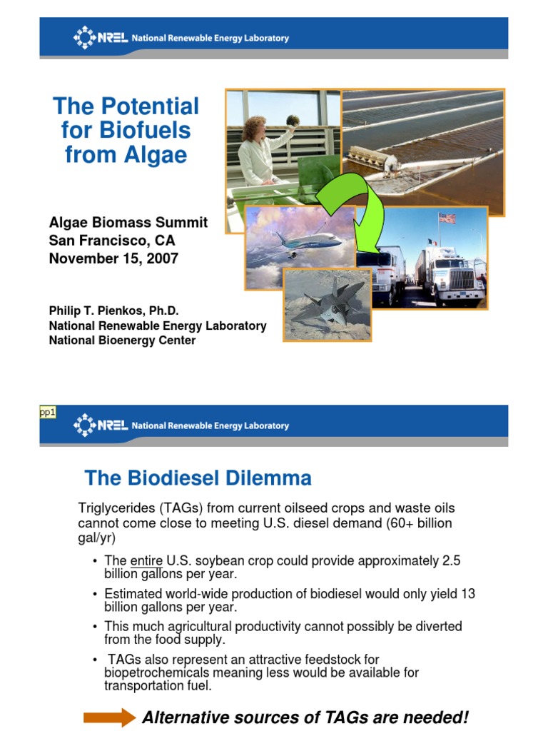 The Potential For Biofuels From Algae: Algae Biomass Summit San ...