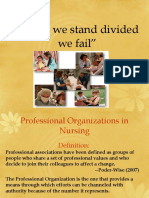 United we stand through nursing organizations