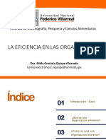 S2 Eficiencia Organizacional 08.11.2020 PDF