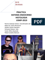 HISTOLOGIA 2019 - Endocrino Practica