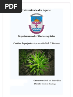 Projecto CORRREC Final