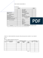 Copia de 234_formato3 1_Libro Inventarios y Balances - Balance Gral