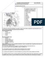 Maurícia - Atividade Sistema Repiratório Adriel