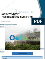 Modulo 10 Supervicion y Fiscalizacion Ambiental
