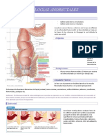 Patologia Anorectal