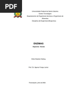 enzimas_aspectos_gerais.pdf