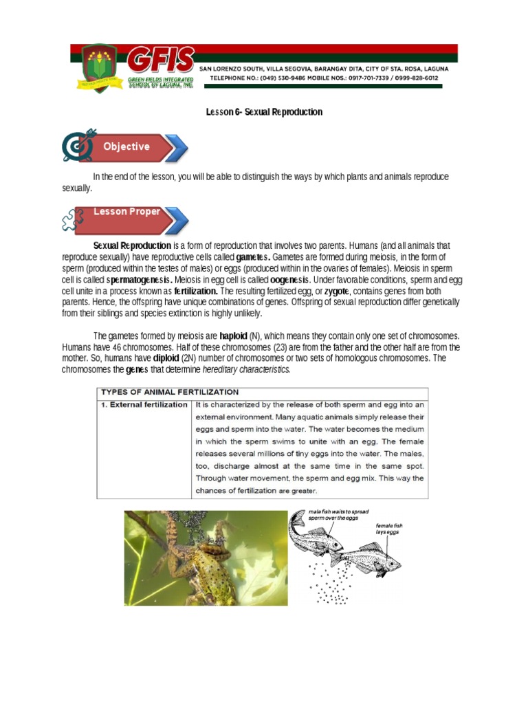 Understanding Sexual Reproduction in Plants and Animals | PDF | Sexual ...