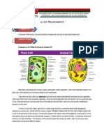 Lesson 5- Plant and Animal Cell-converted