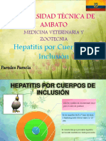 Hepatitisporcuerposdeinclusion 150221112151 Conversion Gate01