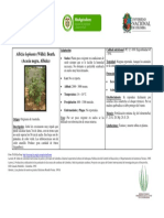 Albizia Lophanta PDF