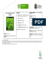 Vicia Atropurpurea PDF