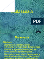 Malassezia y Piedra: Micosis superficiales