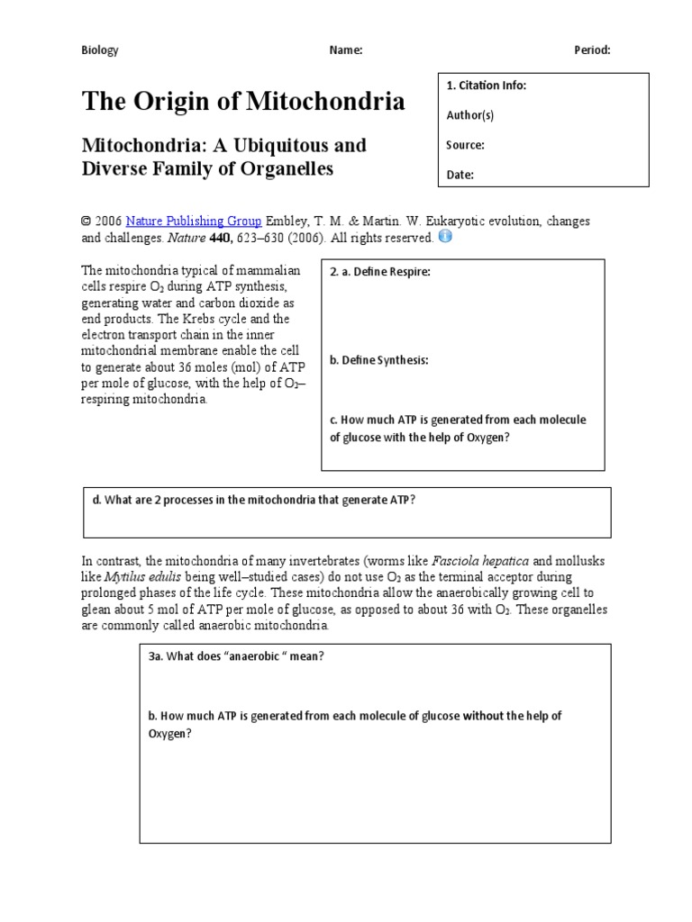 The Origin of Mitochondria - Reading | PDF | Mitochondrion | Cellular ...