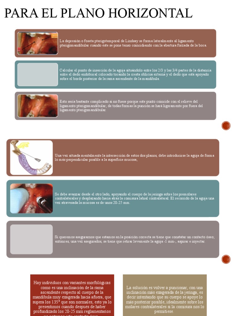Anestesia Troncal PDF Bienestar Medicina