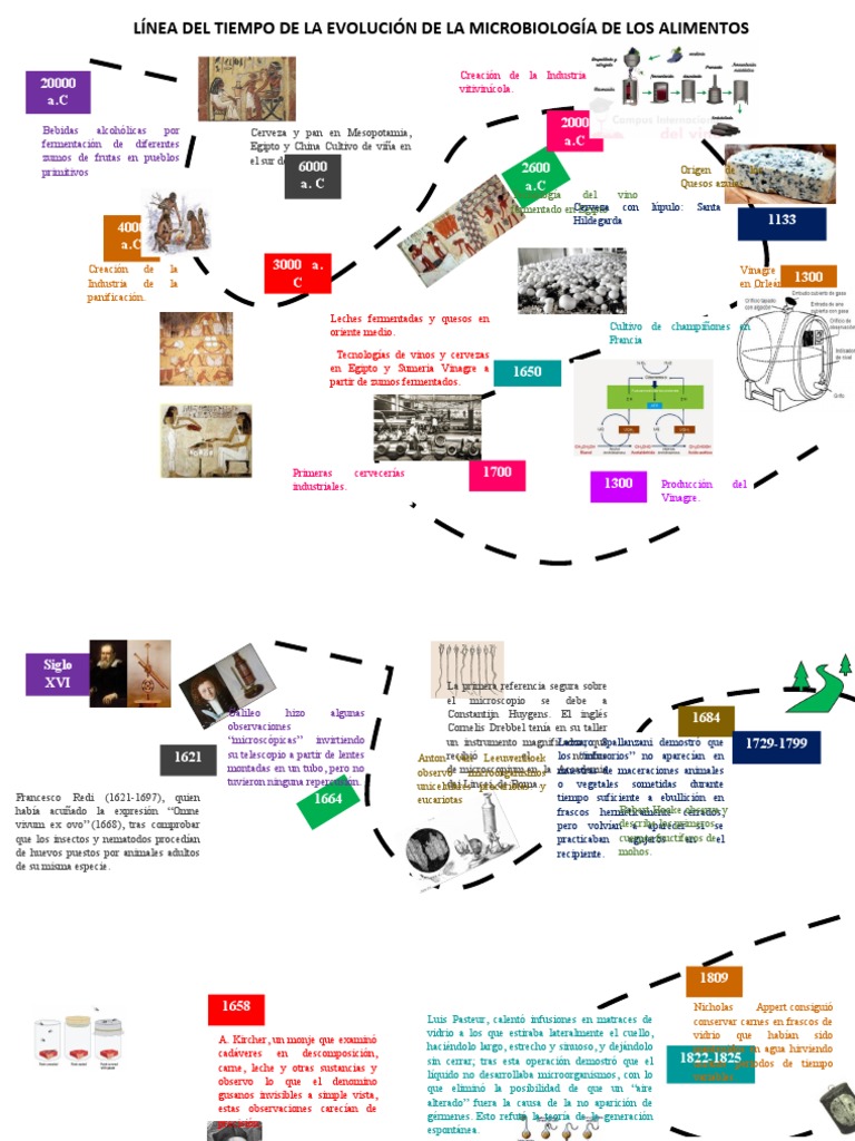 Línea del tiempo de la microbiología alimentaria | PDF | Luis Pasteur ...