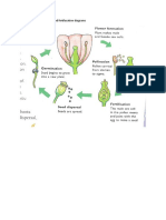 Science Moves pollination and fertilasation diagrams