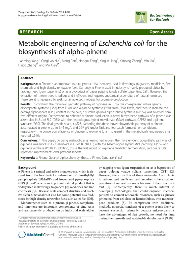 Metabolic Engineering of Escherichia Coli For The Biosynthesis of Alpha ...
